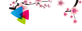 提莫书院